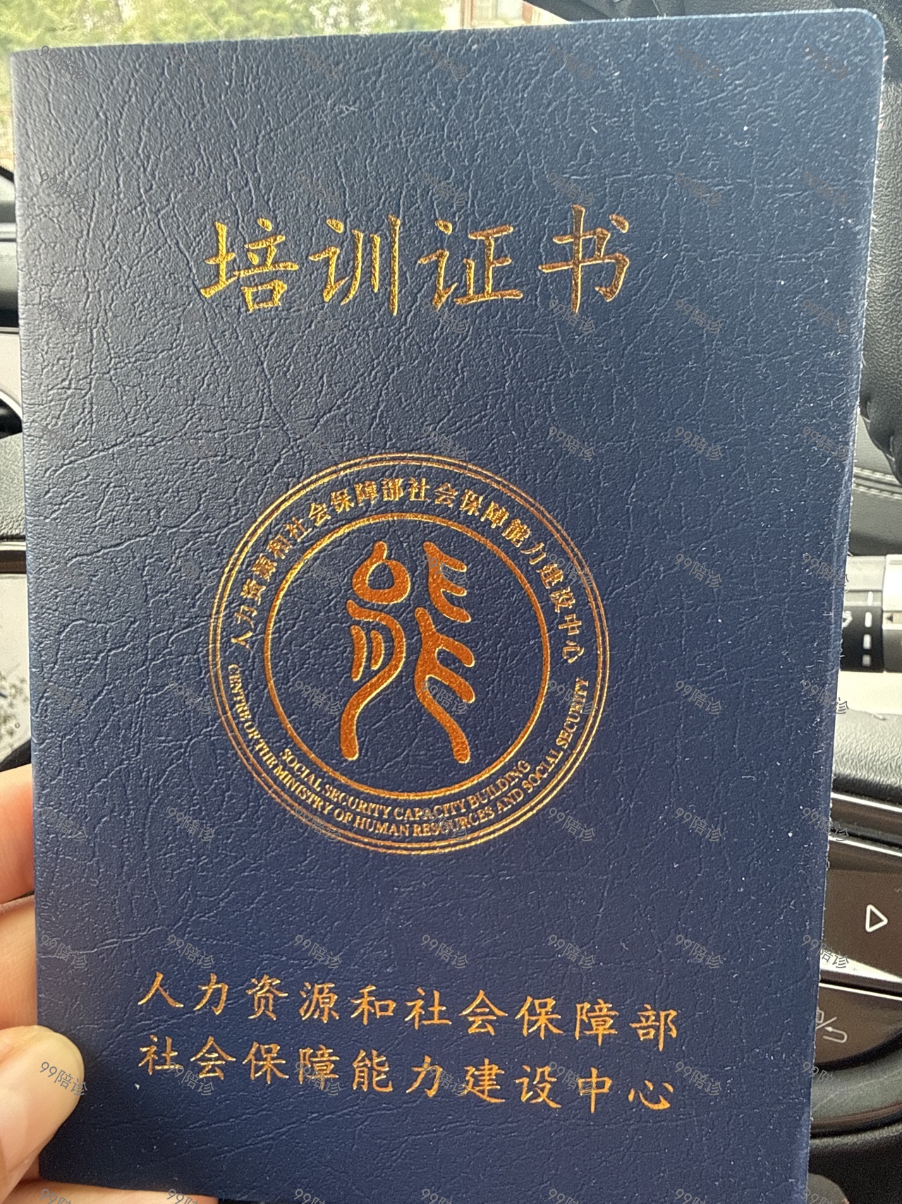 相册1