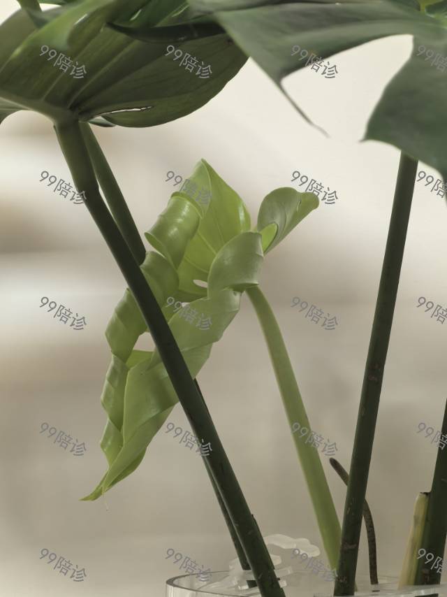 相册1