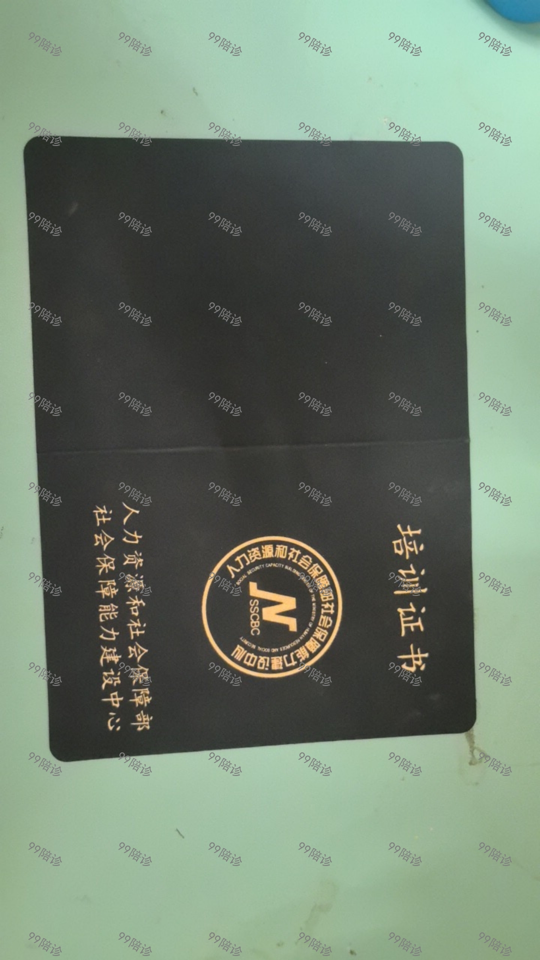 相册2